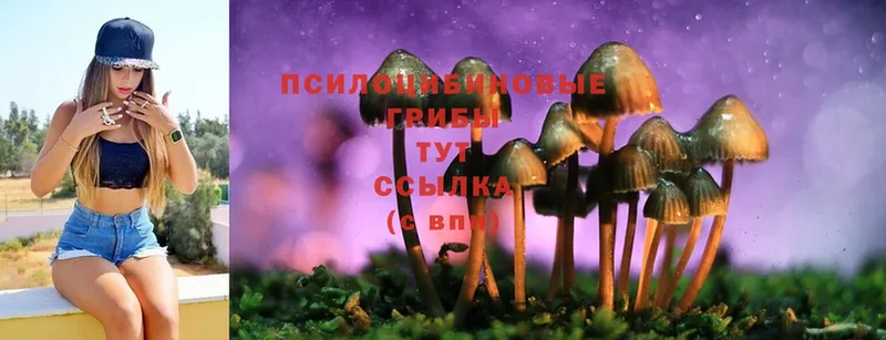 Галлюциногенные грибы MAGIC MUSHROOMS  где продают наркотики  shop наркотические препараты  Ноябрьск 